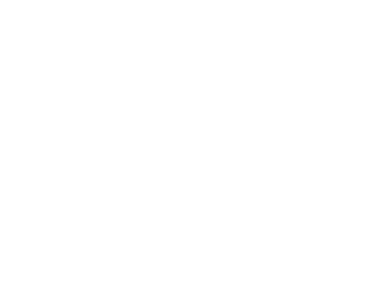 Logo D.Brigo